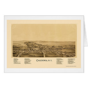 Caledonia panorama- karta för NY - 1892 Hälsningskort