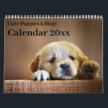 Calendar 20xx - Cute Puppies and Hundar Kalender<br><div class="desc">Lägg till året i den här mycket söta valpen och hund. Foto är vid Pxhere</div>
