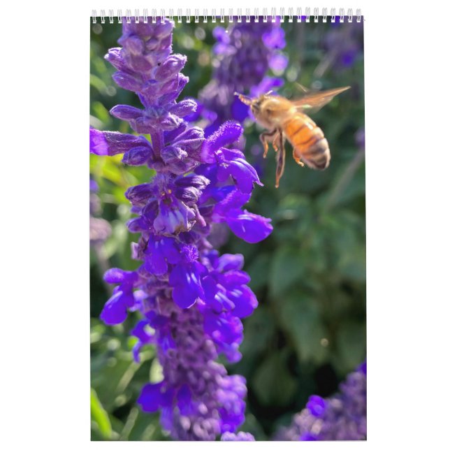 Calendar bees butterflys kalender (Omslag)