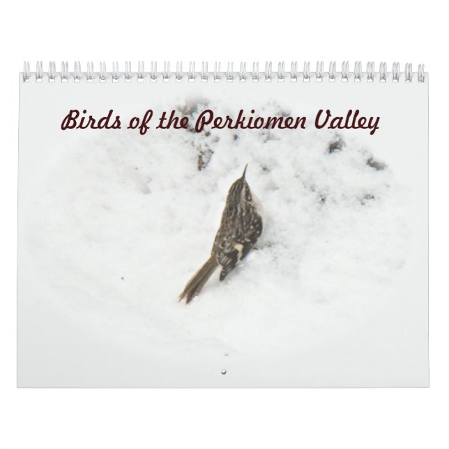 Calendar - Birds of the Perkiomen Valley Kalender (Omslag)