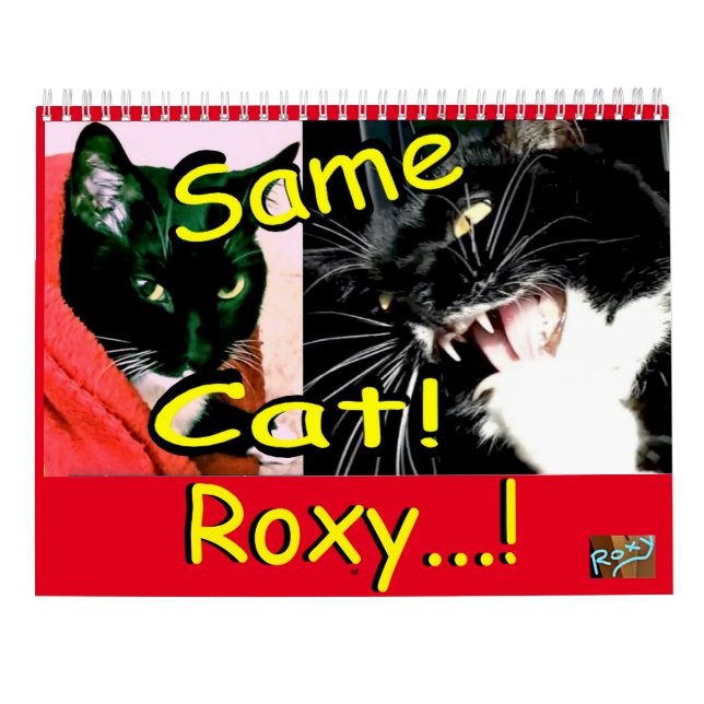 Calendar Cat Roxy Kalender (Baksida)