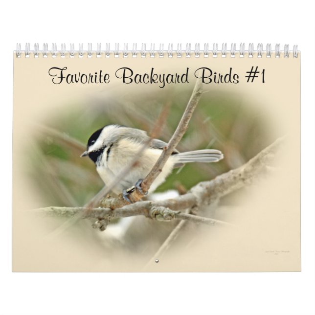 Calendar Favorite Backyard Birds #1 Kalender (Omslag)