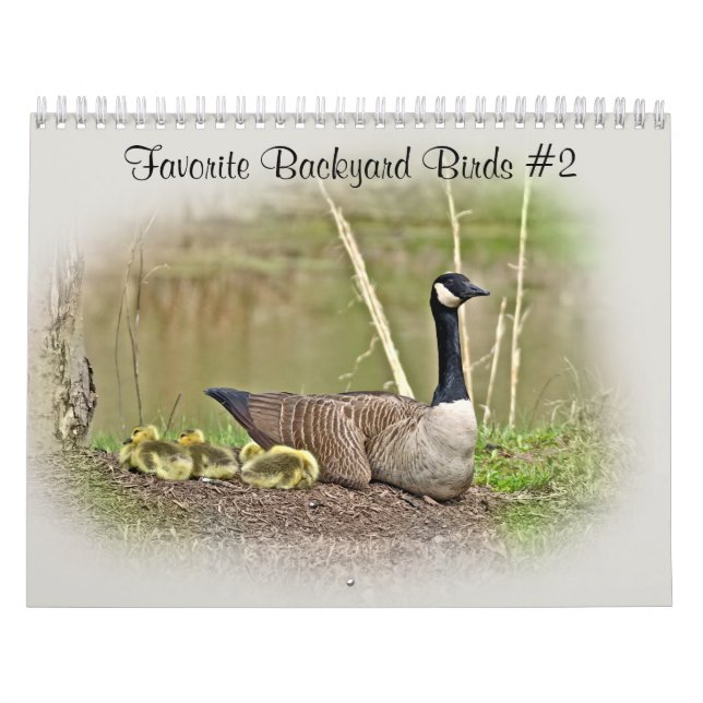 Calendar Favorite Backyard Birds #2 Kalender (Omslag)