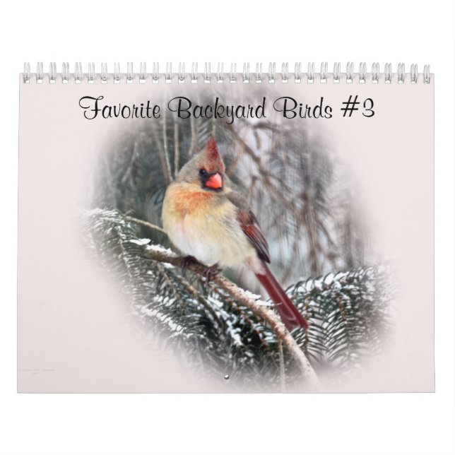 Calendar Favorite Backyard Birds #3 Kalender (Omslag)