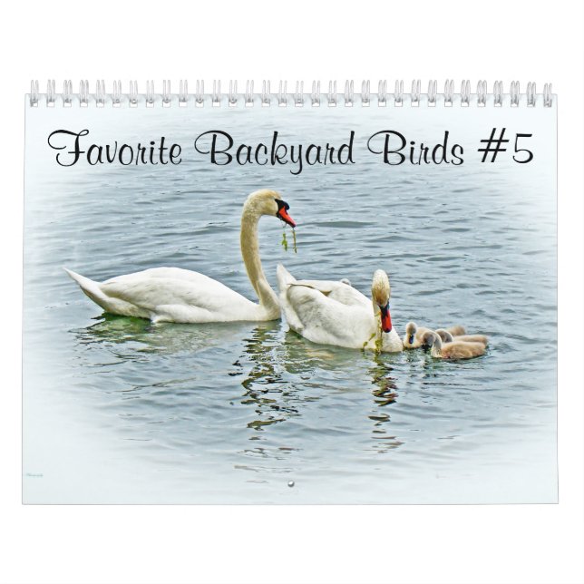 Calendar Favorite Backyard Birds #5 Kalender (Omslag)
