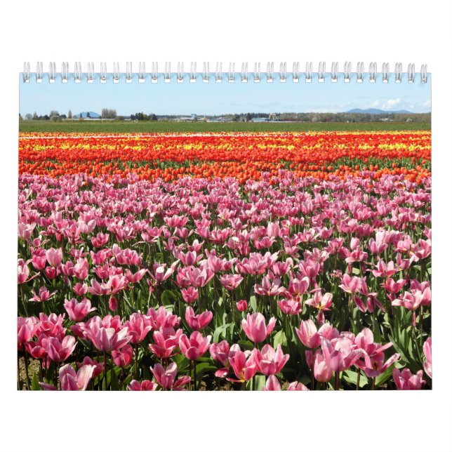 Calendar Kalender (Omslag)