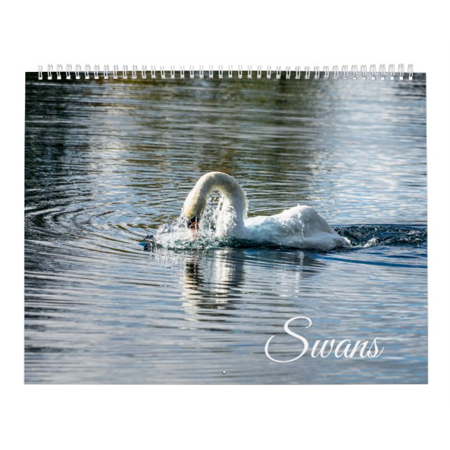 Calendar Kalender (Omslag)