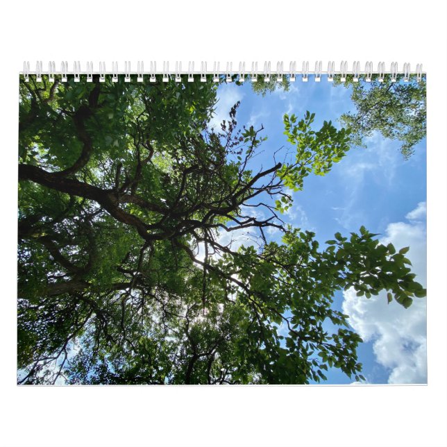 Calendar Kalender (Omslag)