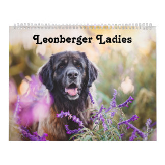 Calendar - Leonberger Ladies Kalender