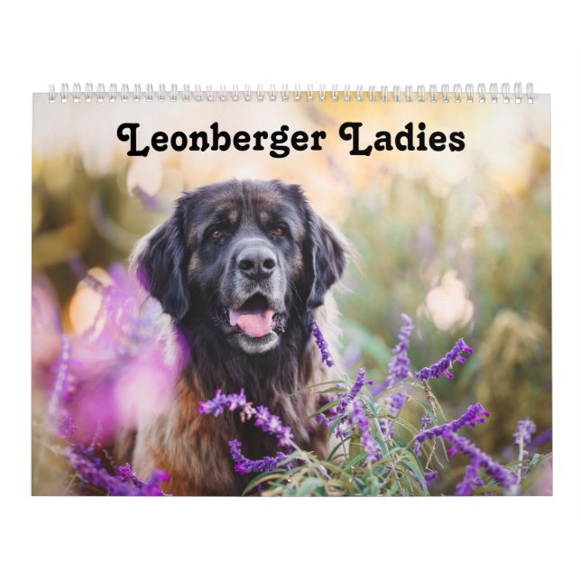 Calendar - Leonberger Ladies Kalender (Omslag)
