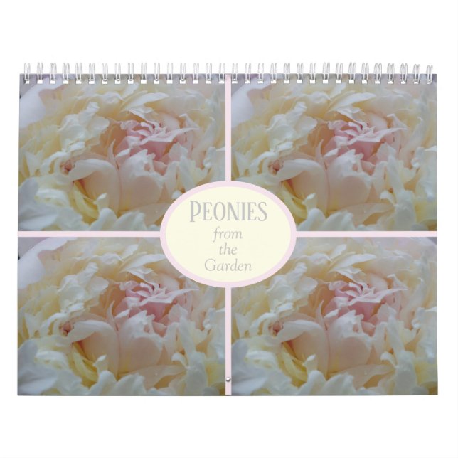 Calendar Peonies från min Garden Kalender (Omslag)