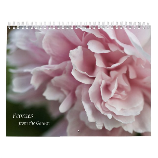 Calendar Peonies Kalender (Omslag)