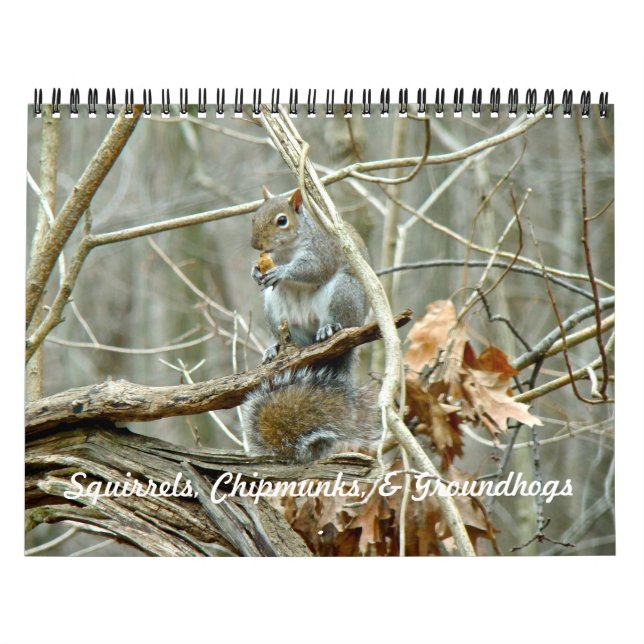 Calendar - Squirrels Chipmunks Groundhogs Kalender (Omslag)