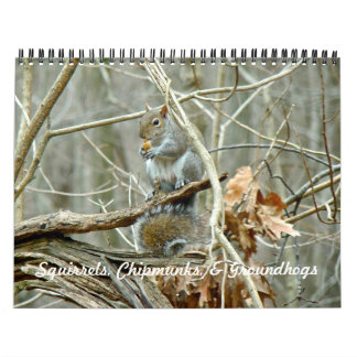 Calendar - Squirrels Chipmunks Groundhogs Kalender