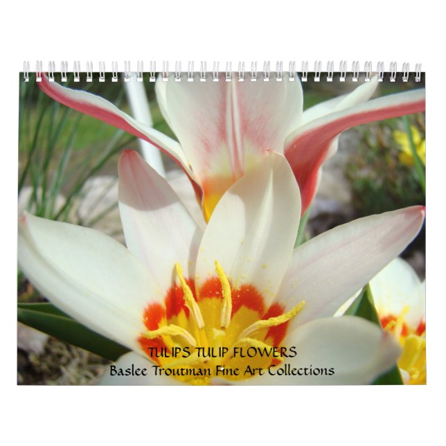 CALENDAR TULIPS Calendars Tulip Flowers Kalender (Omslag)