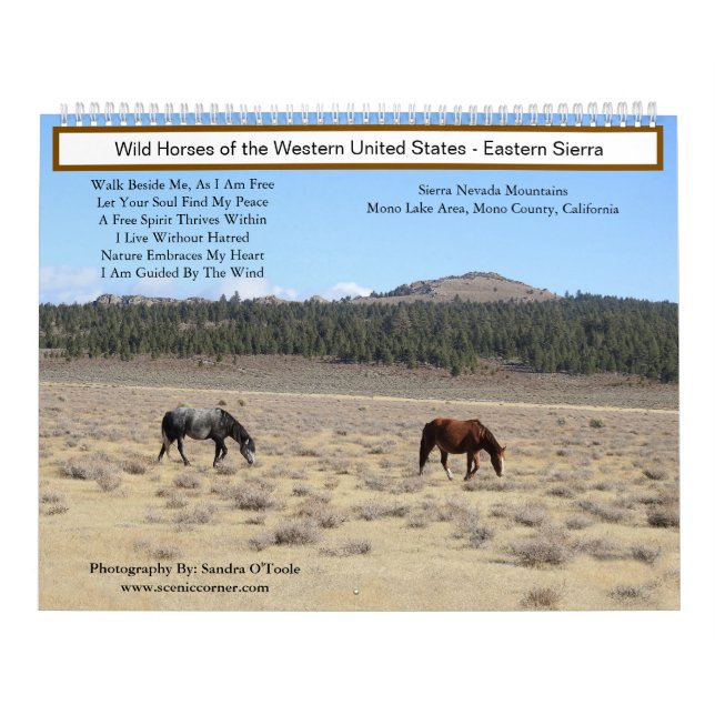 Calendar, Wild Horses, Eastern Sierra, California Kalender (Omslag)