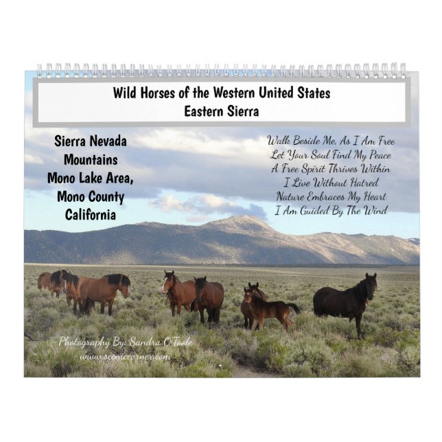 Calendar, Wild Horses, Eastern Sierra, California Kalender (Omslag)