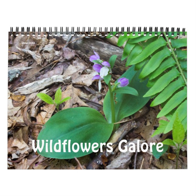Calendar ~ WildblommGalore Kalender (Omslag)
