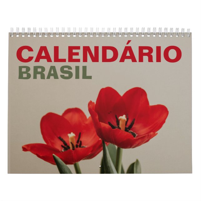 Calendário Brasil com Feriados | Brasilien 2026 Kalender (Omslag)