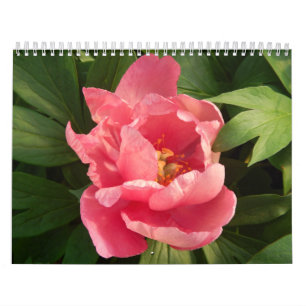 Calendario lurar färg för en för fotografíade kalender