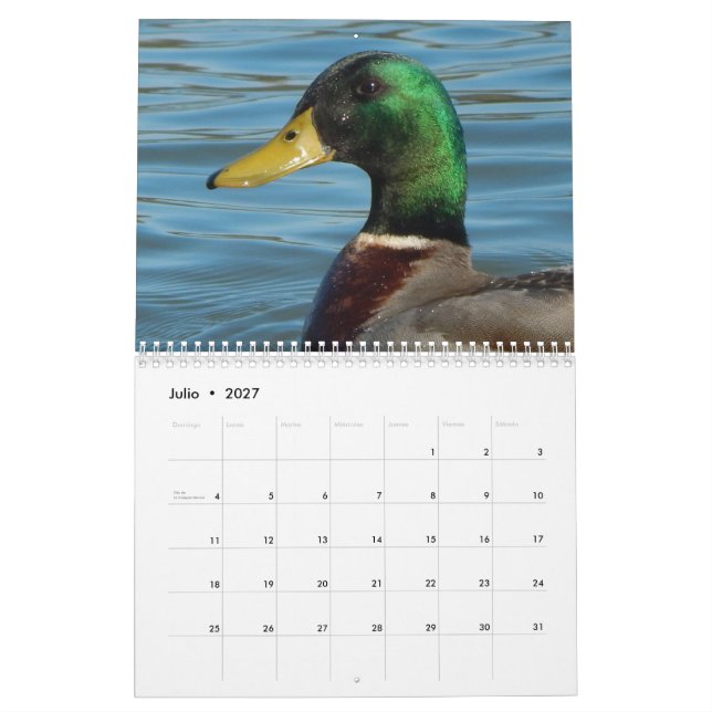 Calendario lurar färg för fotos de patos y kalender (Jul 2027)
