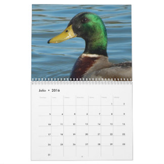 Calendario lurar färg för fotos de patos y kalender