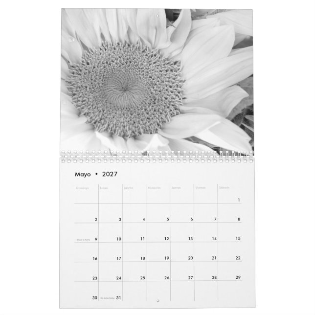 Calendario lurar fotografíaen blanco y-neger kalender (May 2027)
