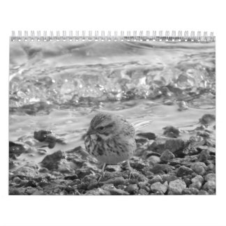 Calendario lurar fotos de pájaros en blanco kalender