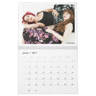 Calendrier 2017 " Les Owlies" Kalender