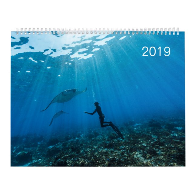 Calendrier 2019 - Sous la surface de l'océan Kalender (Omslag)