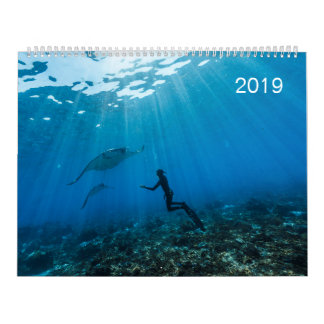 Calendrier 2019 - Sous la surface de l'océan Kalender