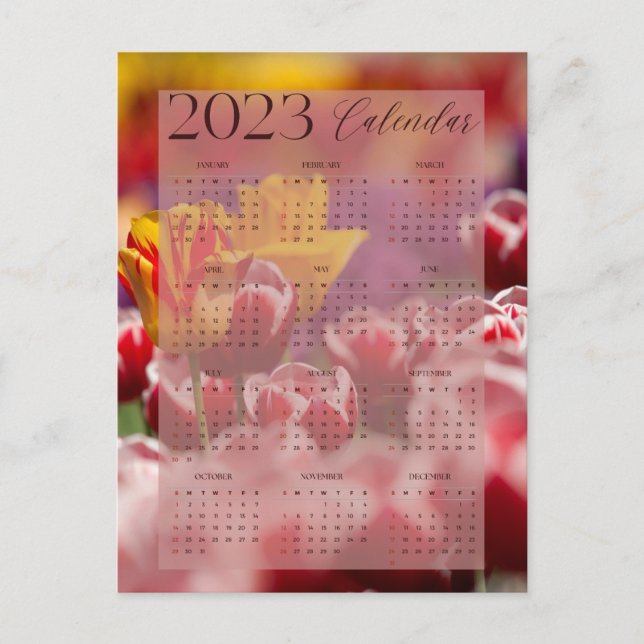 calendrier 2023 beau motif tulip vykort (Framsida)