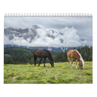 Calendrier Chevaux Kalender