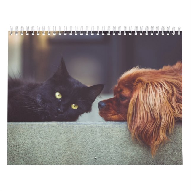Calendrier chien et chat kalender (Omslag)