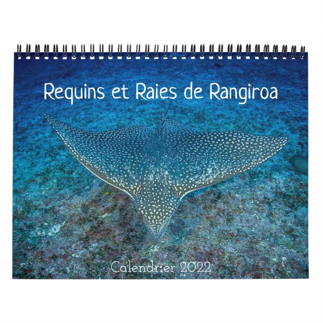 Calendrier des Requins et des Raies カレンダー Kalender (Omslag)