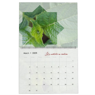 Calendrier Dieu méditation nature étoile élégant Kalender