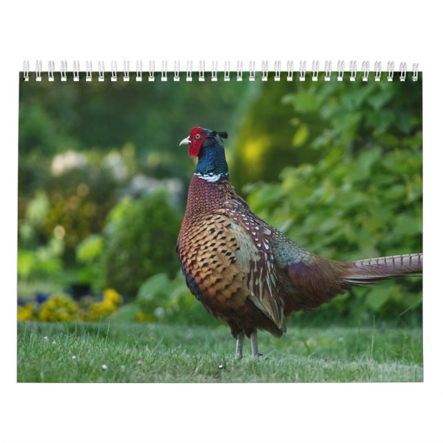 Calendrier Faisan, Calendar Pheasant Kalender (Omslag)