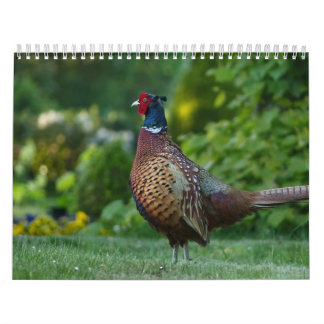 Calendrier Faisan, Calendar Pheasant Kalender