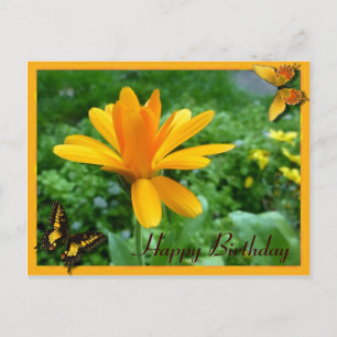 Calendula gult vykort