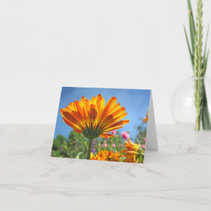 Calendula Note Card Kort