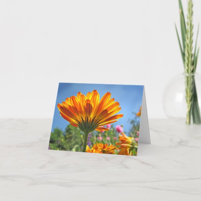 Calendula Note Card Kort (Framsida)