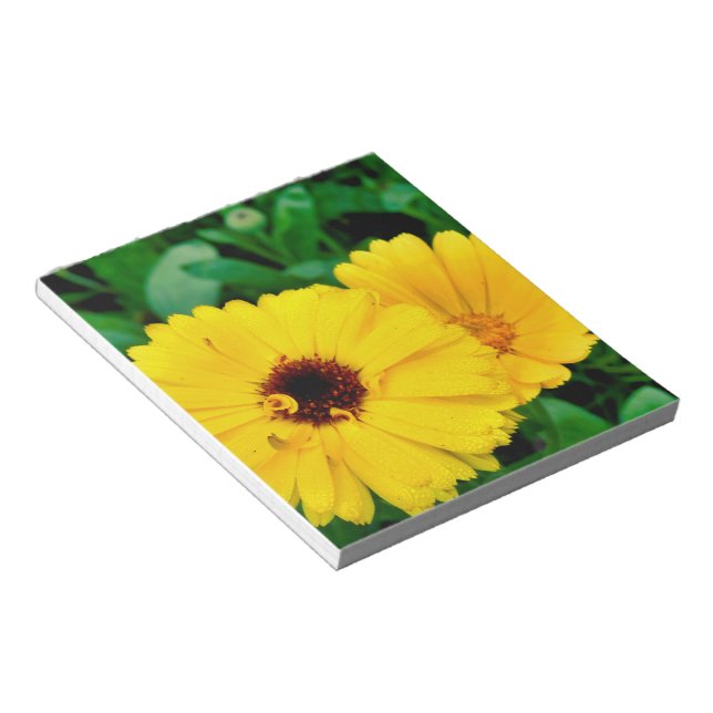 Calendula Officinalis Anteckningsblock (Vinklad)