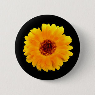 Calendula Officinalis Badge Knapp