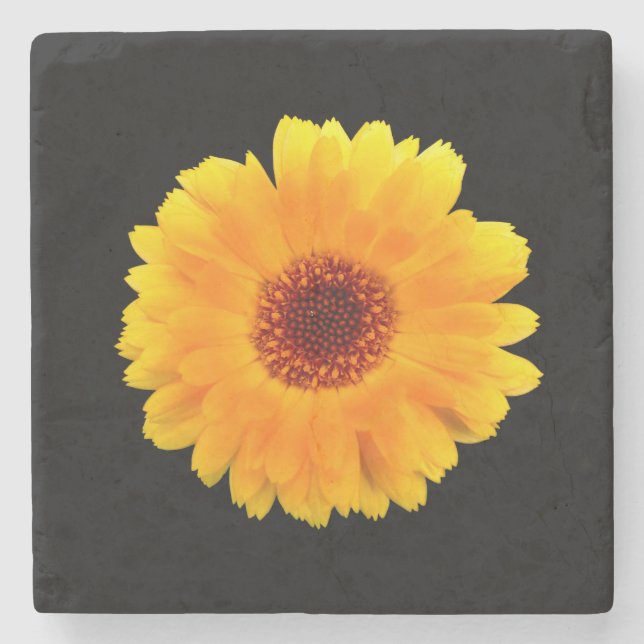 Calendula Officinalis Stenunderlägg (Framsidan)