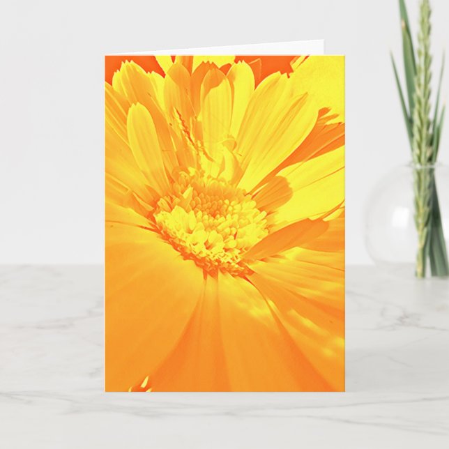 Calendula - tack kort (Framsida)