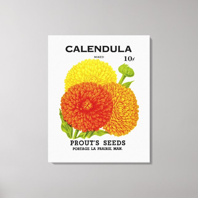 Calendula Vintage Seed Packet Canvastryck (Framsida)