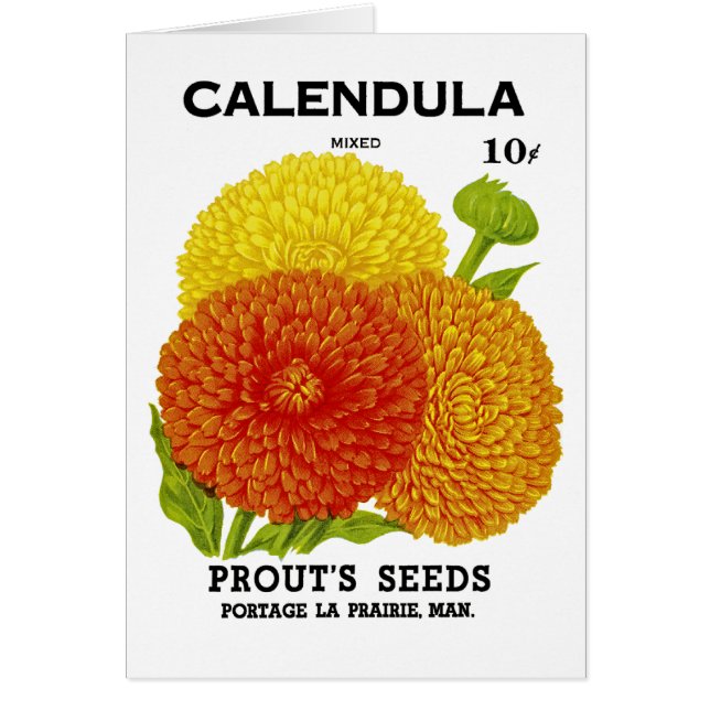 Calendula Vintage Seed Packet Hälsningskort (Framsidan)