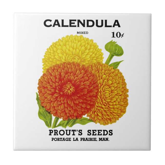 Calendula Vintage Seed Packet Kakelplatta (Framsidan)