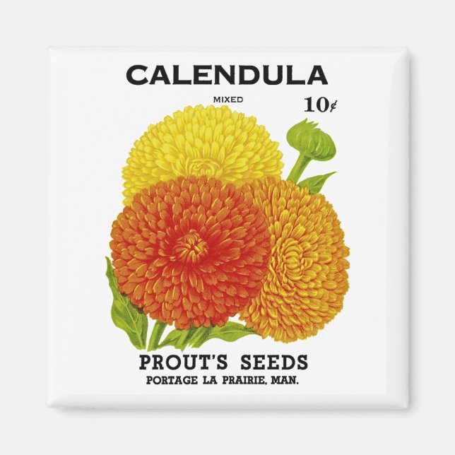 Calendula Vintage Seed Packet Magnet (Framsidan)