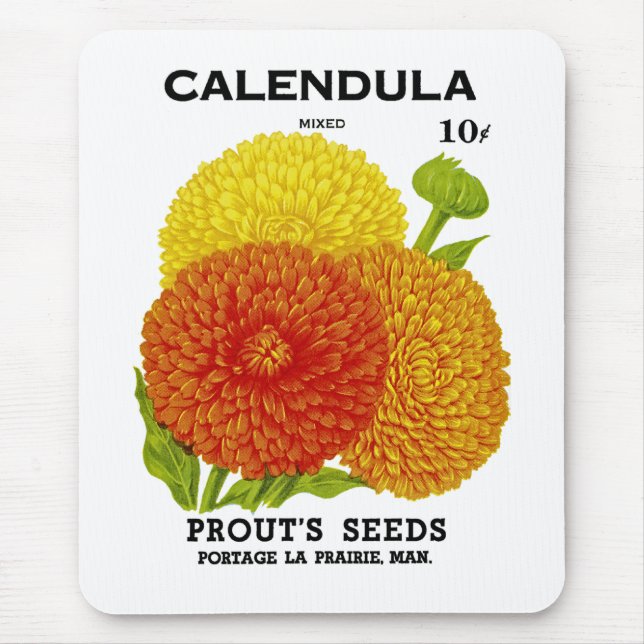 Calendula Vintage Seed Packet Musmatta (Framsidan)